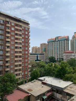 Central Deluxe Apartments Baku